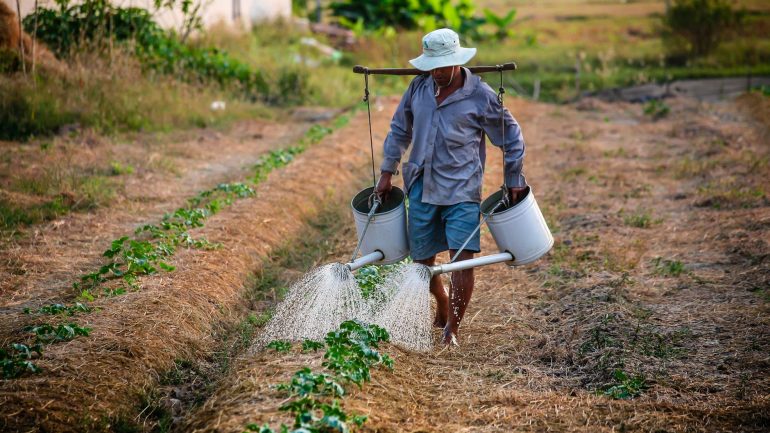 watering-watering-can-man-vietnam-162637