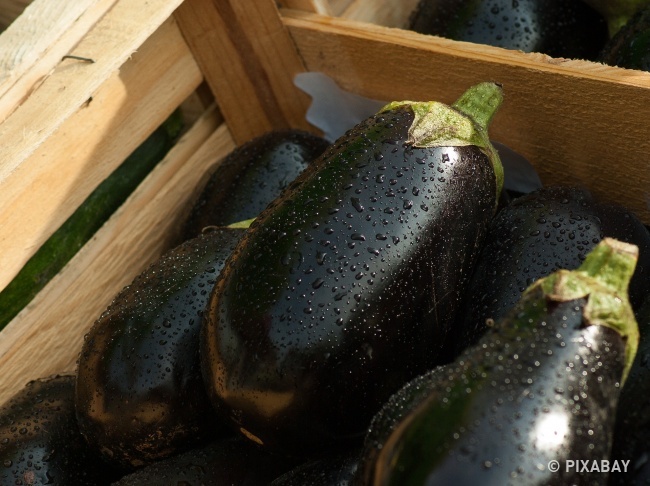 25673765-eggplant-1707629_1920-1486067656-650-8faebd6191-1486369790
