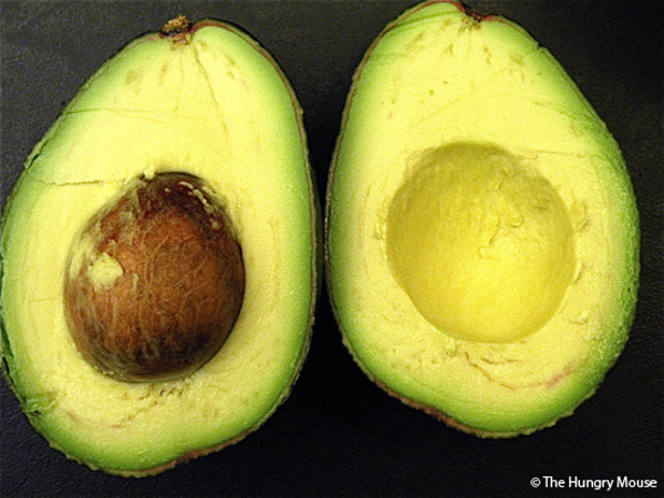 avokado2