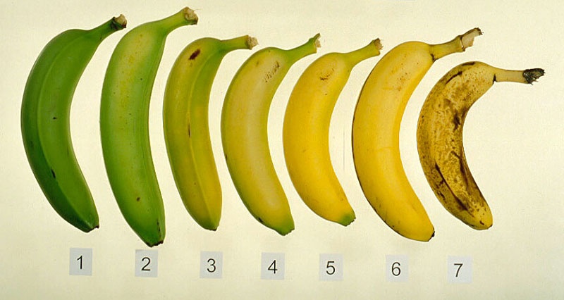 banan1
