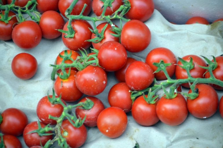 cherry paradajky