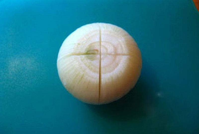 cibula3