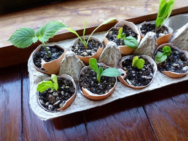 garden-hacks1