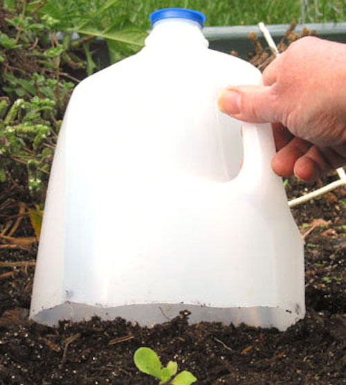 garden-hacks3