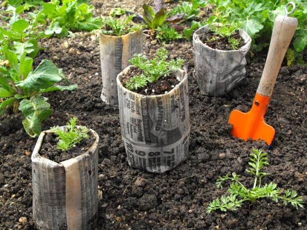 garden-hacks7