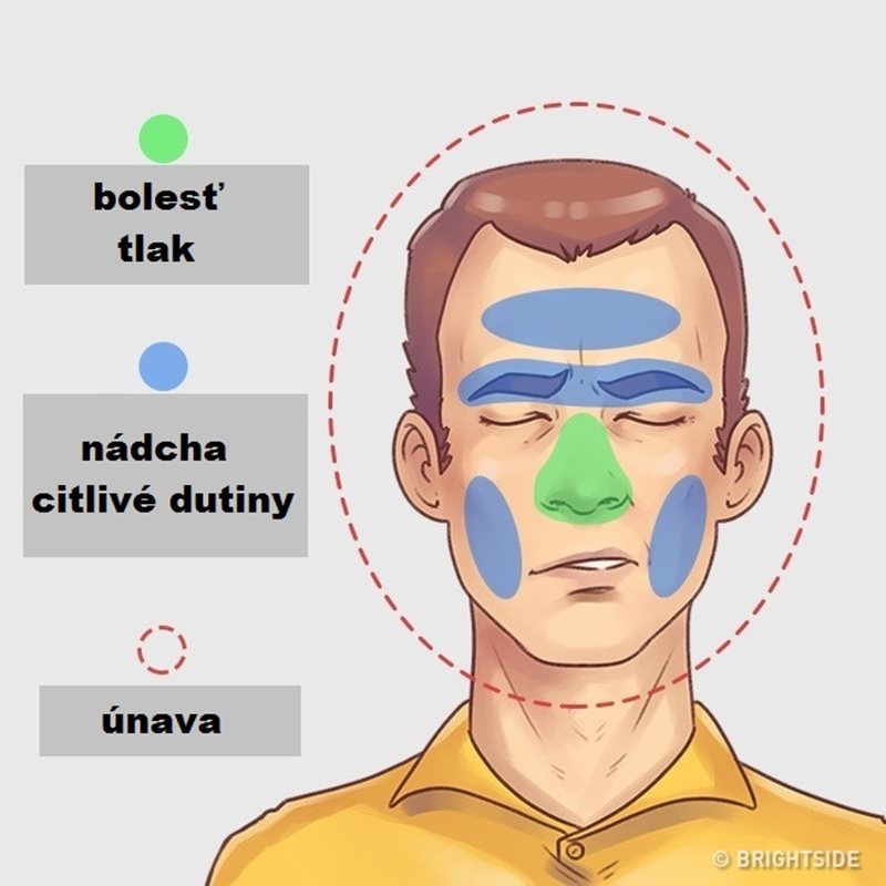 hlava002
