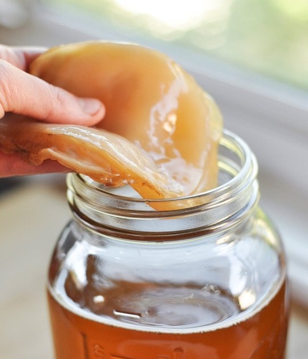 kombucha2