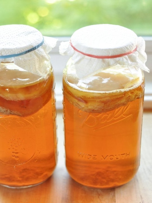 kombucha4