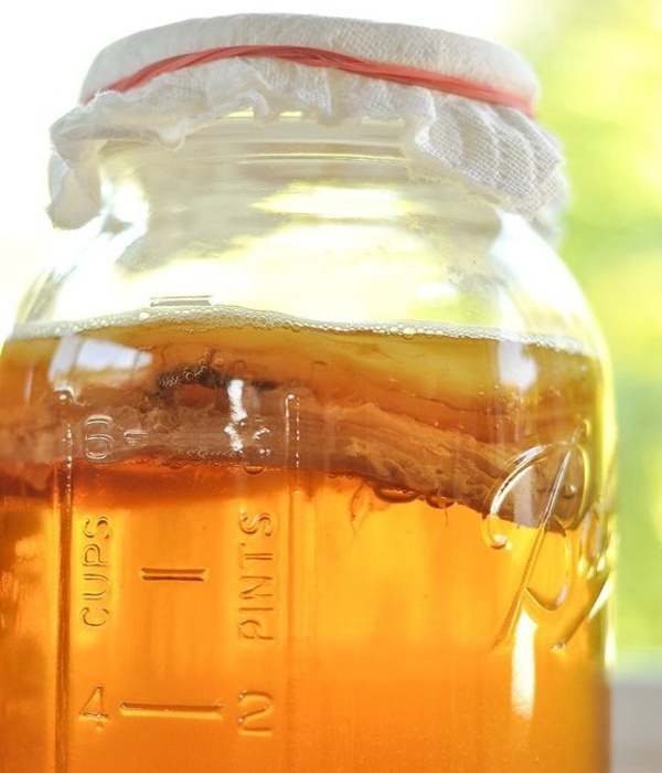 kombucha5