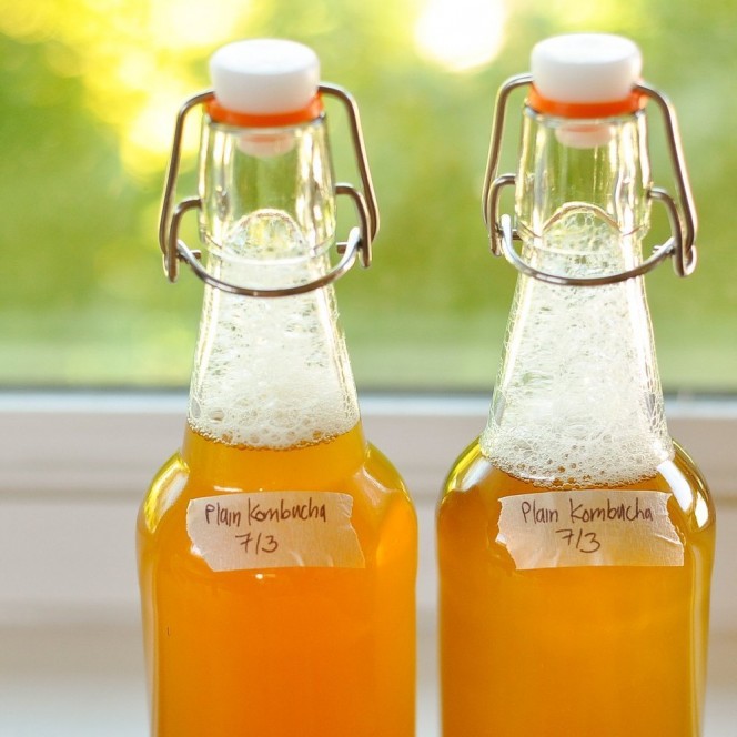 kombucha8