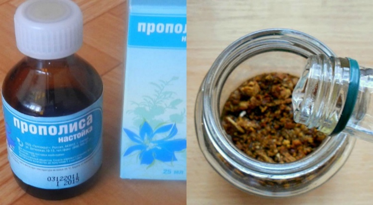 propolis3