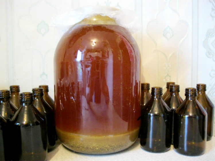 propolis5