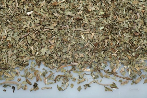 skorocel5