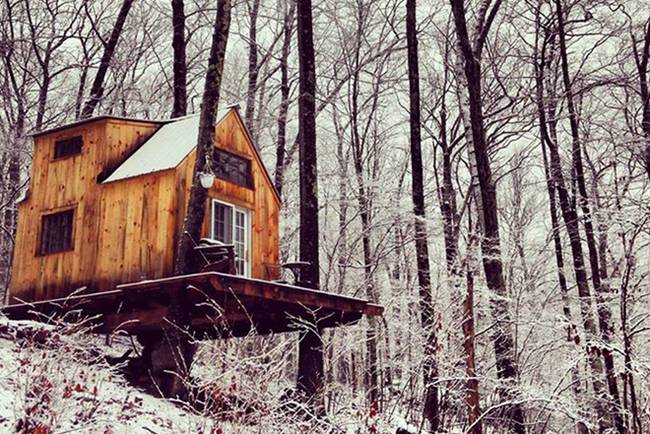tiny-house-4000-dave-herrle-2.jpg.650x0_q70_crop-smart