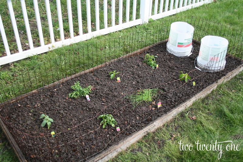 zavlazovaniemarvellous-design-garden-watering-system-impressive-decoration-diy-garden-watering-system