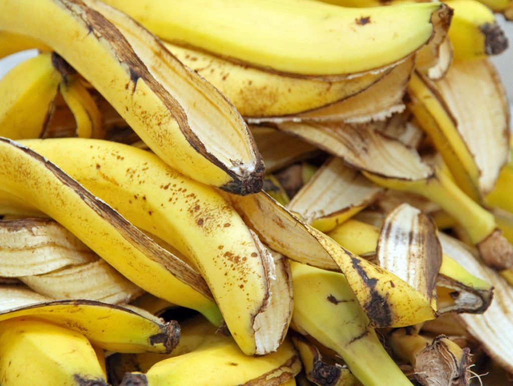 Bananenschale als Dünger: Ist das sinnvoll? - Plantura | Bananenschale,  Bananen schale, Pflanzen