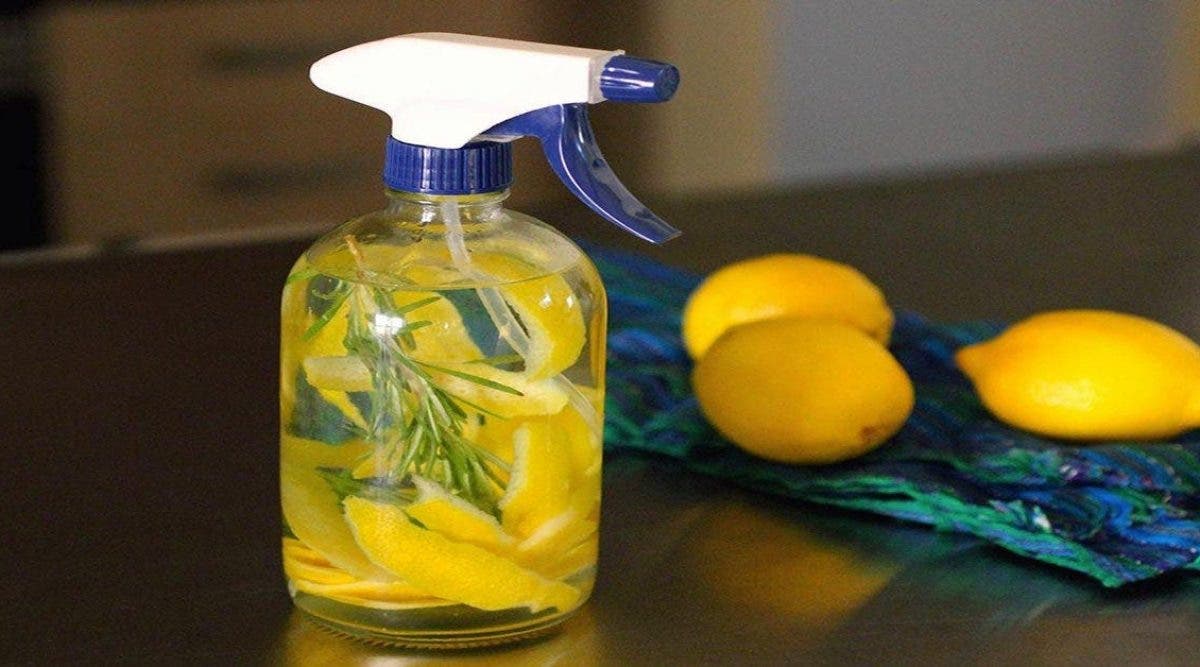 Spray Fait Maison au citron pour que votre Maison Sente toujours bon –  Astuces Naturelles