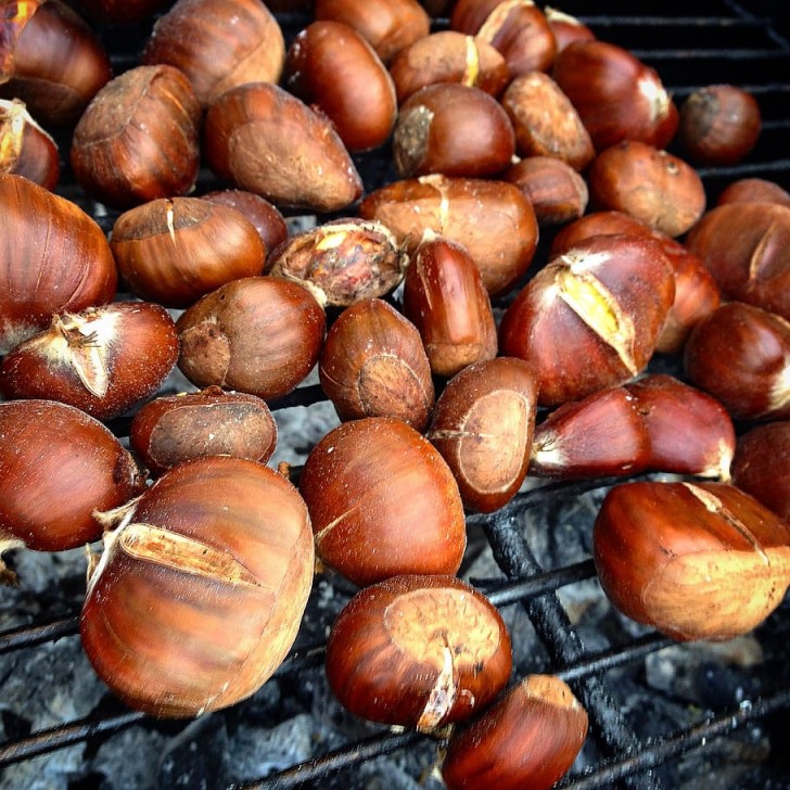 Lust auf Kastanien? Kochen Sie Ihre Kastanien im Ofen, das ist einfach