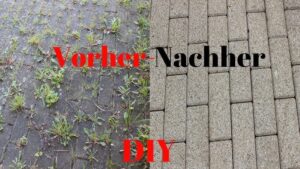 Pflastersteine reinigen SO geht es ganz einfach Genial Tipps